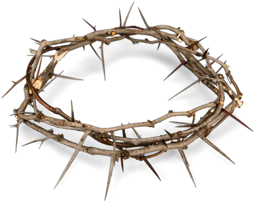 Download Crown Of Thorns Png Image Crown Of Thorns Png Transparent Thorns Png