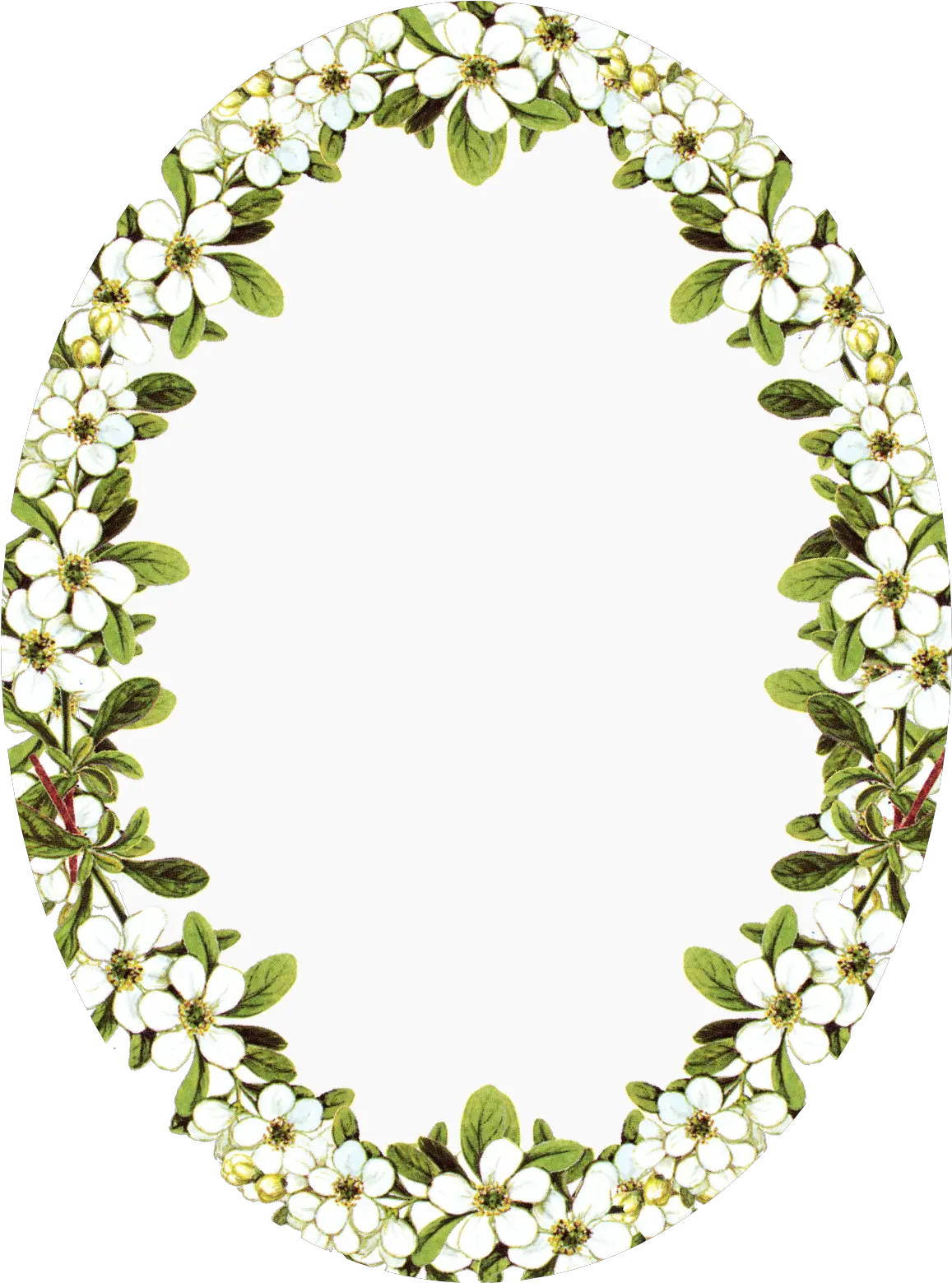 Vintage Frame Clip Art Oval Flower Frames Png Full Size Frame Png Oval With Flowers Oval Frame Png