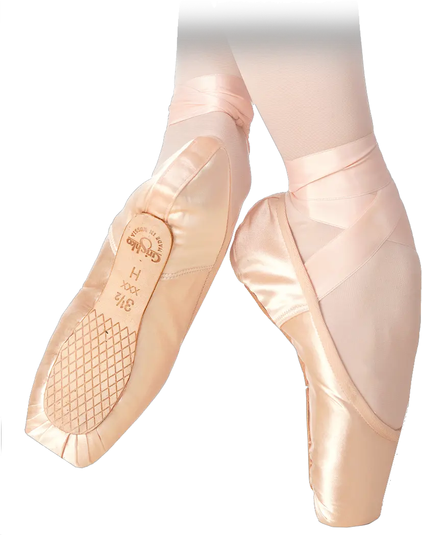 Triumph Pointe Shoes Grishko Nova Grishko Pointe Shoes Png Ballet Shoes Png