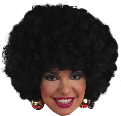 Afro Hair Transparent Png Clipart Afros Wigs With A Transparent Background Black Hair Png