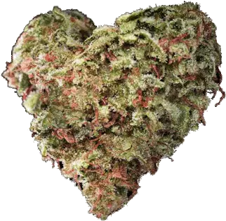 Transparent Weed Transparent Nug Of Weed Png Marijuana Transparent