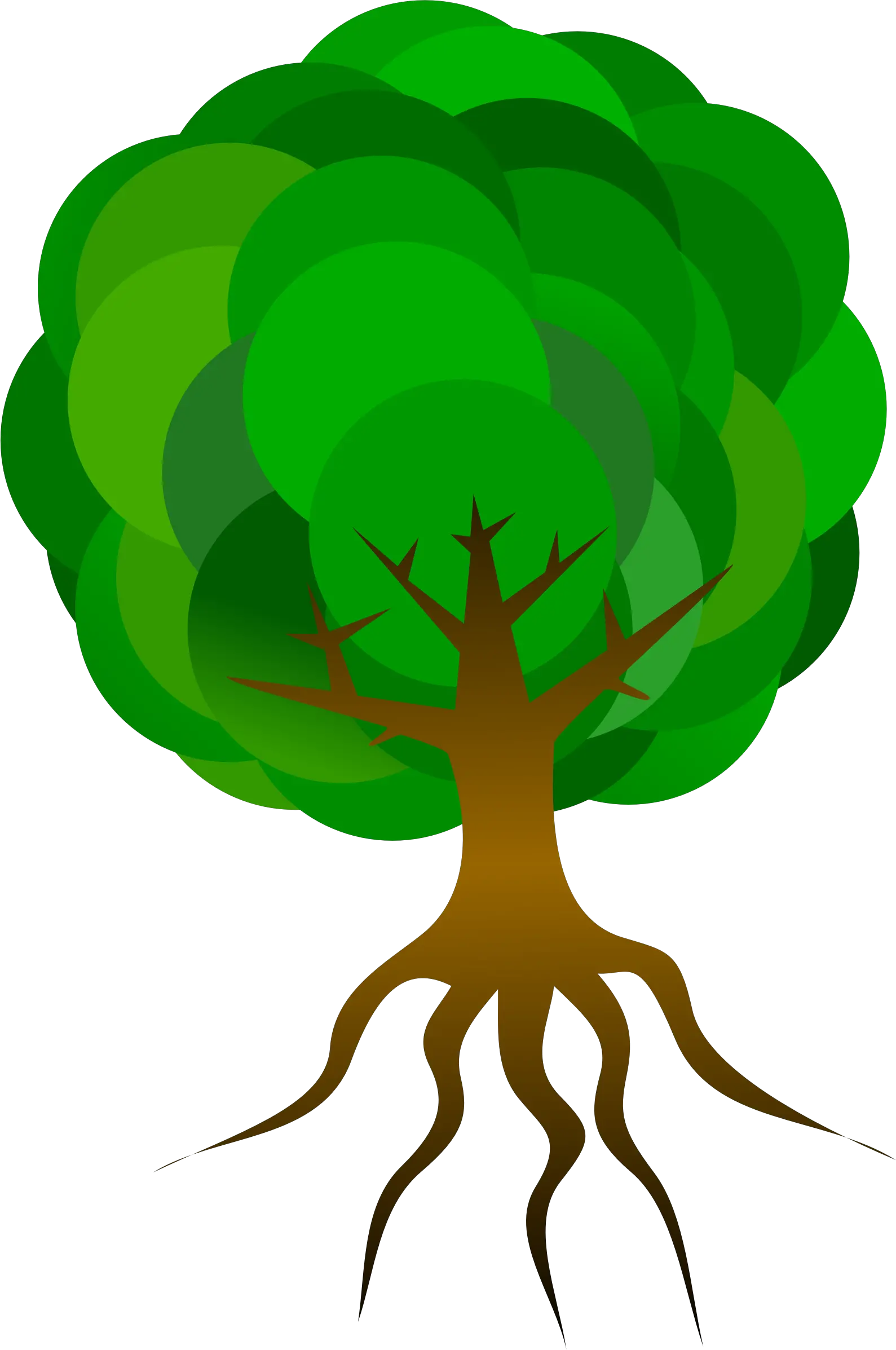 Nature Tree Branches Roots Skeleton Plant Leaves Tree With Roots Animation Png Roots Png