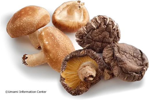 Shiitake Mushroom Png 5 Image Shitake Mushroom Transparent Background Mushroom Png