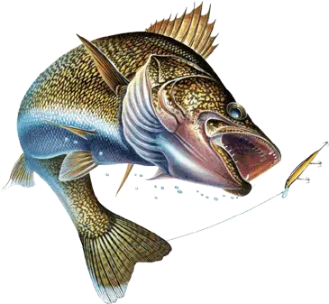 Animals For Walleye Fishing Logos Walleye Fishing Logo Png Fishing Logos