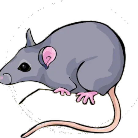 The Rat Den Guilded Animal Figure Png Animal Den Icon