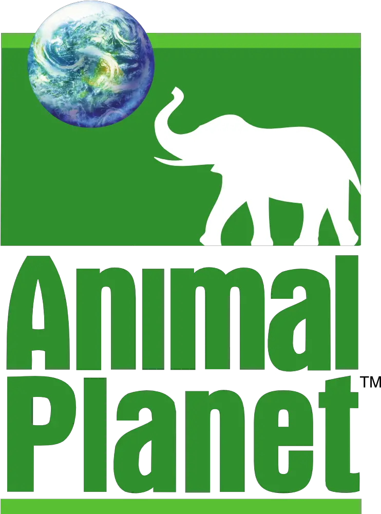 Animal Planet Logo Timeline Wiki Fandom Old Animal Planet Logo Png Aza Icon Wheels