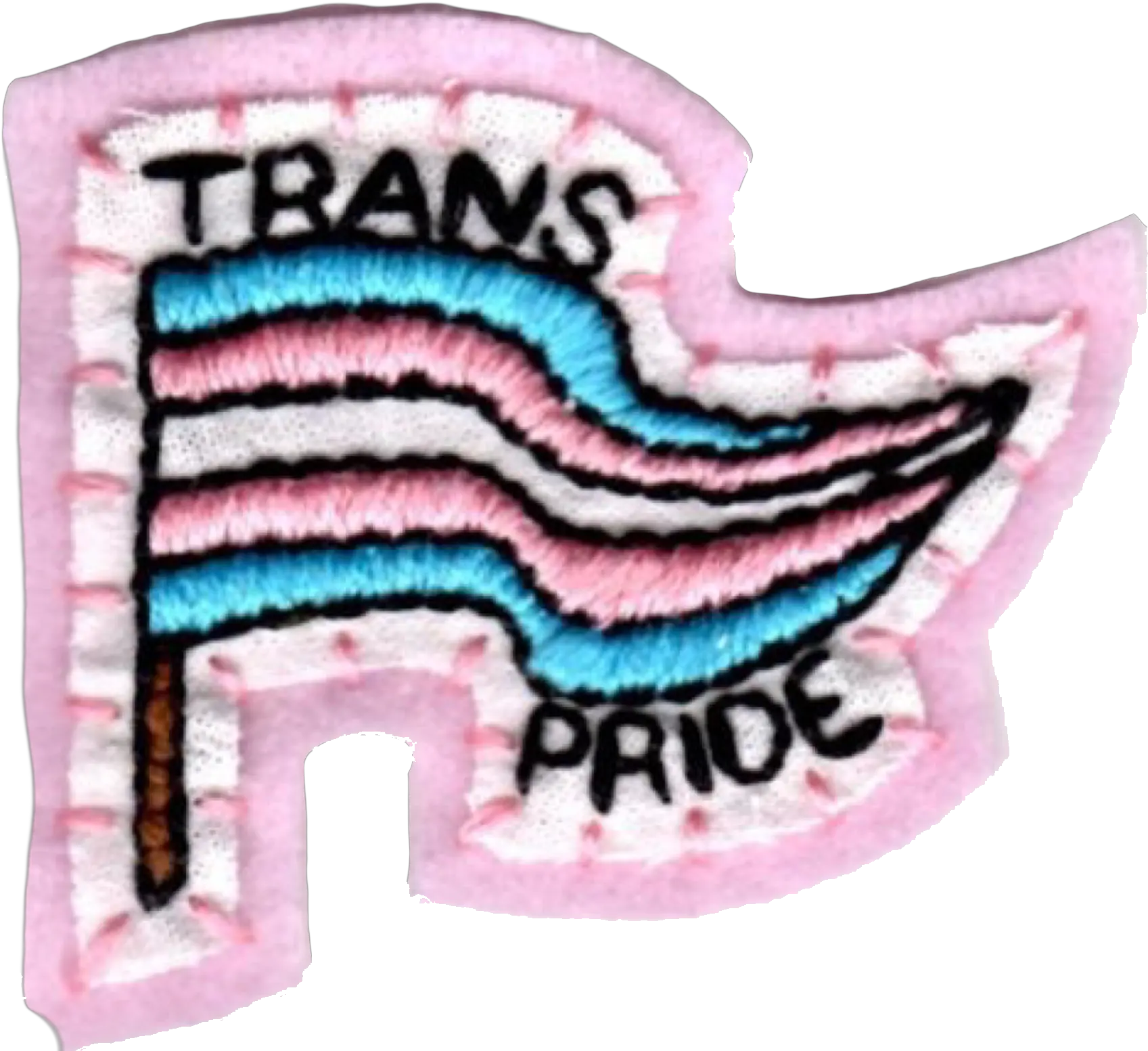 Download Hd Homem Trans Pride Aesthetic Trans Pride Flag Png Pride Flag Png