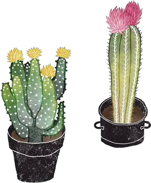 Png Cactus Illustration Png Cute Cactus Png