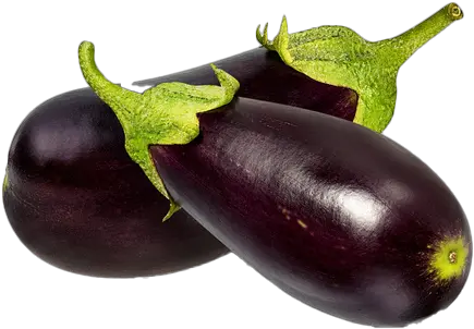 Eggplant Png Free File Download Vegetables Start With Letter B Eggplant Png