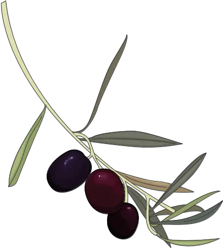 Fileblueberry In Clip Artpng Wikimedia Commons Olive Blueberry Png