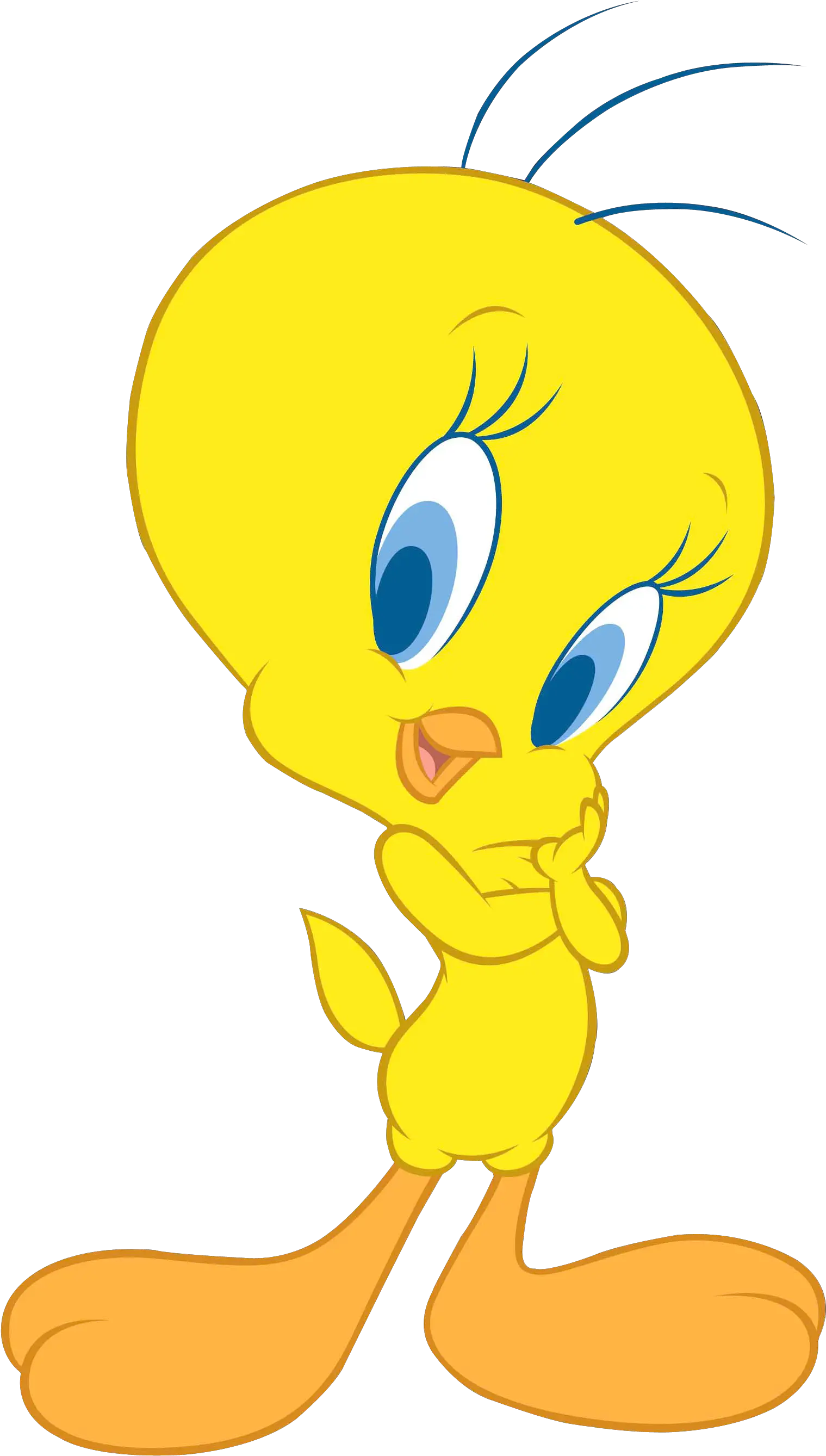 Download Tweety Bird Png Transparent Image Tweety Bird Transparent Tweety Bird Png Bird Transparent png