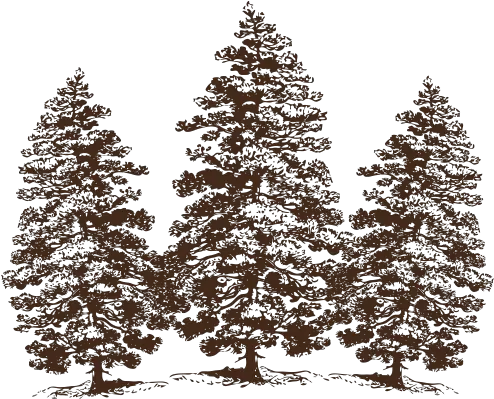 Cropped Cotticopng Cottagevloeren Pine Tree Clip Art Pine Branch Png