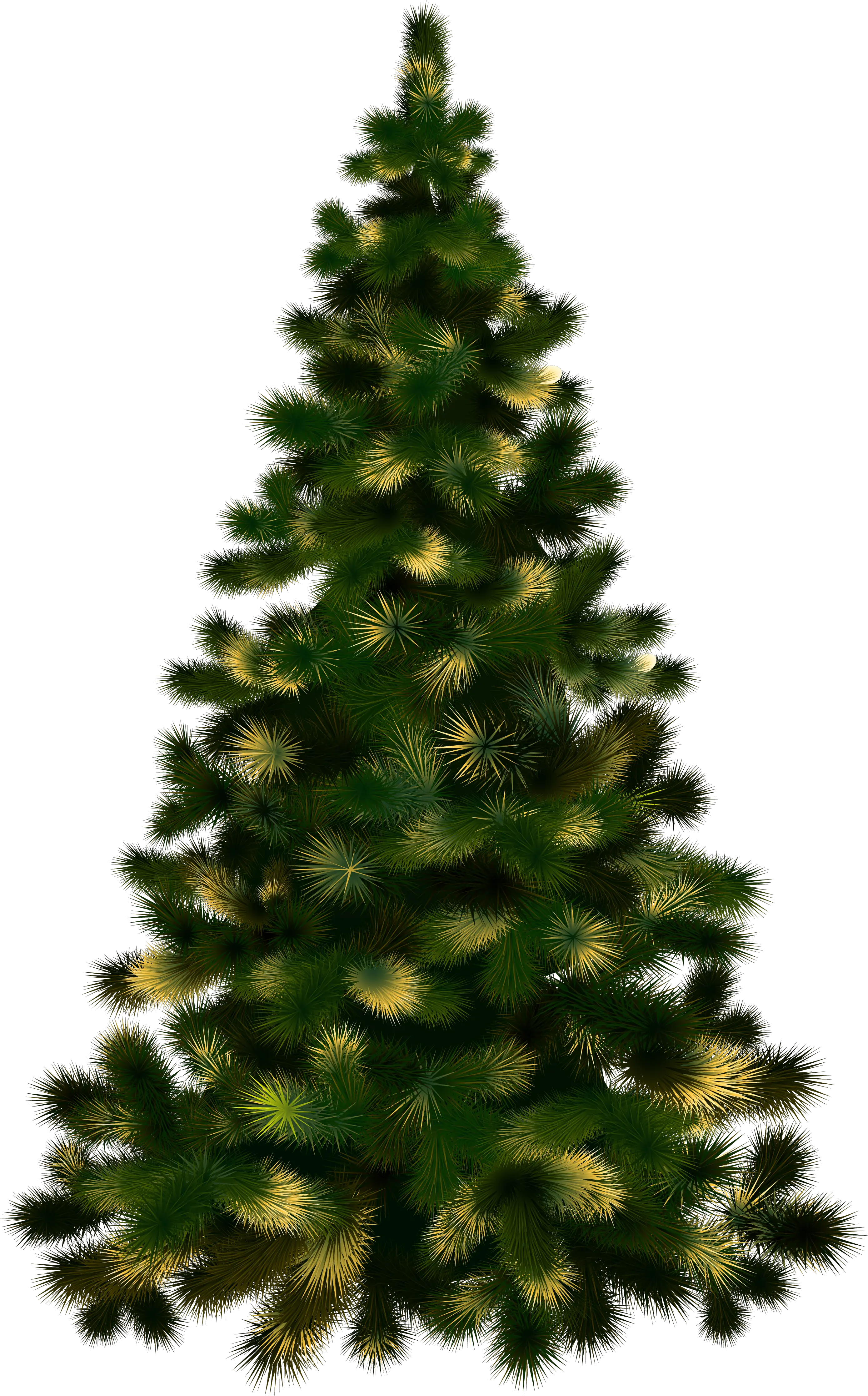Christmas Tree Without Lights Png Image Purepng Free Christmas Tree Real Png Lights Transparent Background