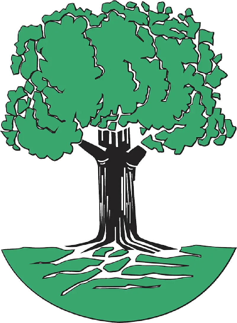 Green Tree Roots Cartoon Free Trees Plant Leaves Oak Tree Clip Art Png Tree Root Png png