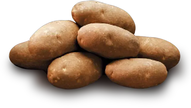 Png Format Images Of Potato Idaho Potato With Transparent Background Potatoes Png