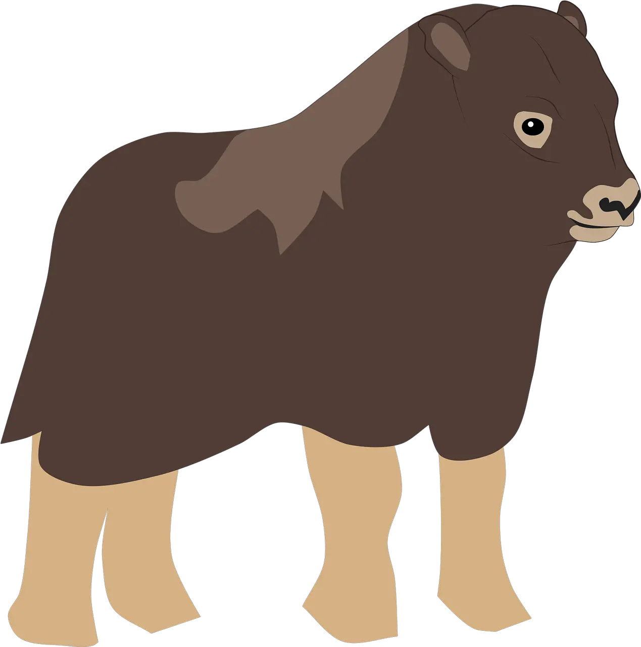 Musk Ox Bull Free Vector Graphic On Pixabay Animal Figure Png Yak Icon