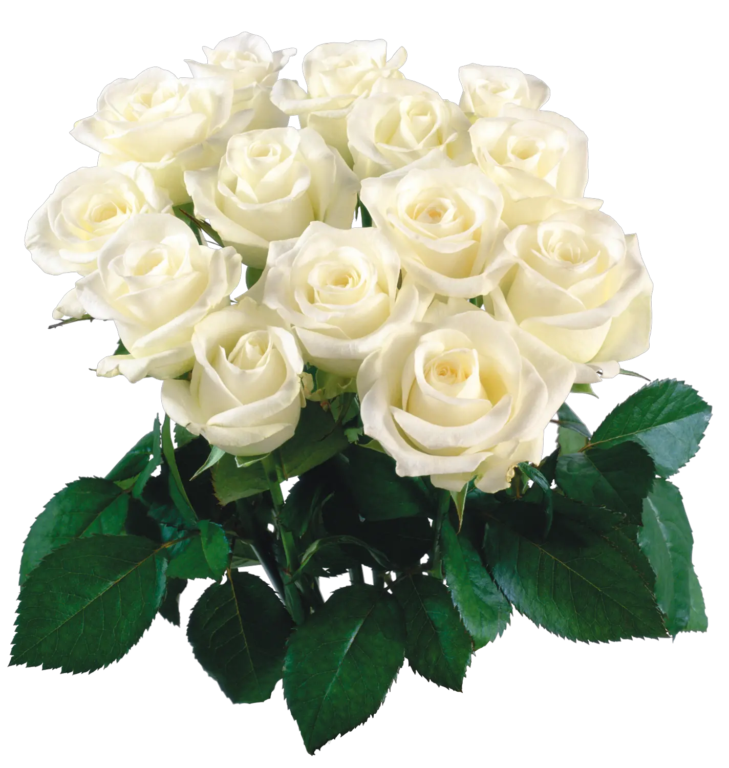 Bouquet Of Flowers White Flower Bokeh Png Clip Art Library White Flower Bokeh Png Bokeh Png