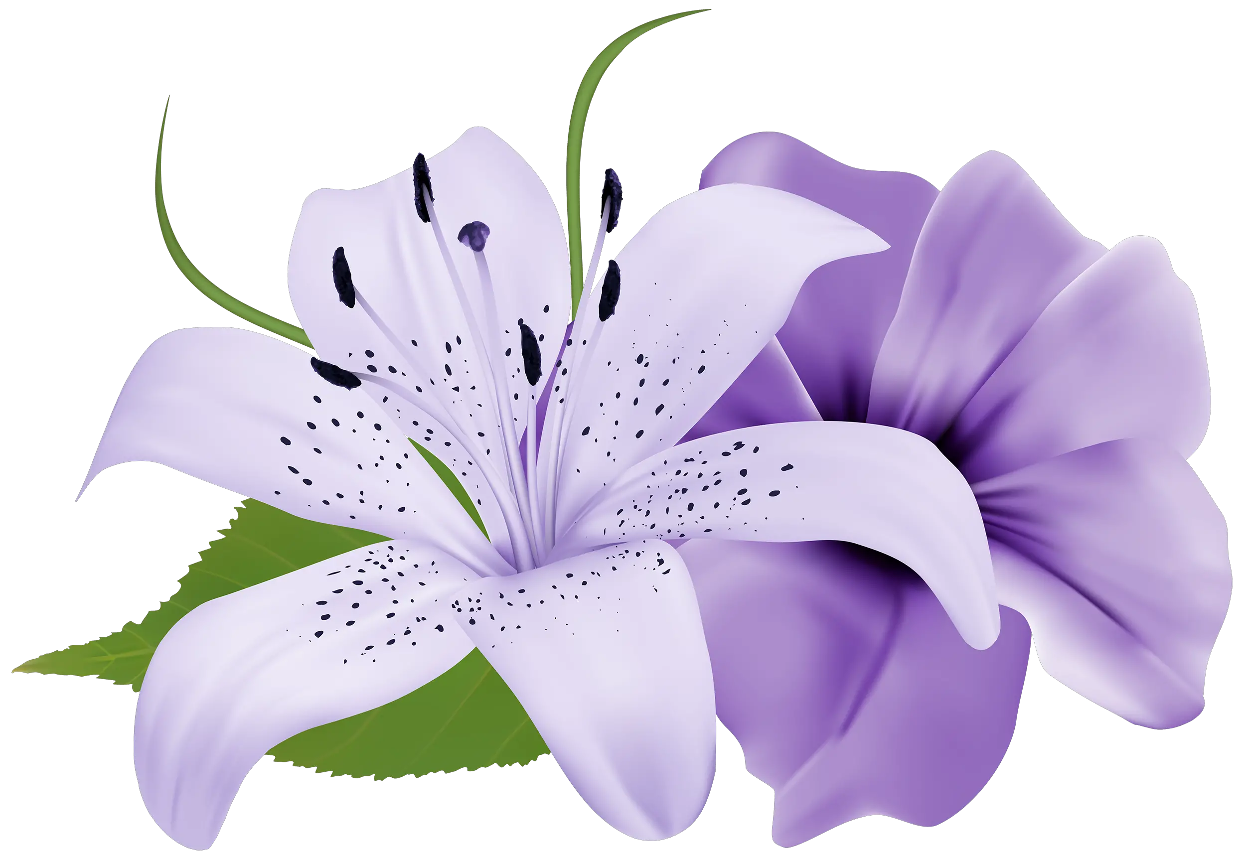 Purple Deco Flowers Png Clipart Flower Painting Light Purple Flower Png Flowers Png png
