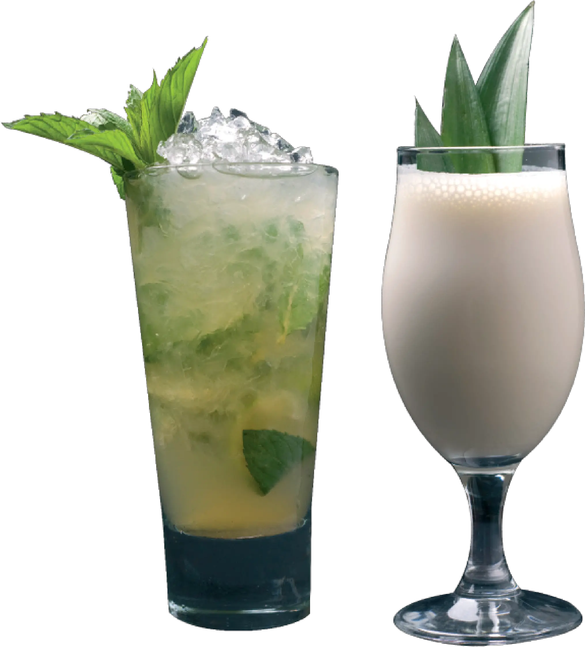 Mojito Png Garnish Mai Tai Mint Julep Milk Transprent Mojito Garnish Png