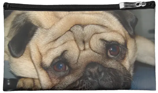 Euro Pug Face Bag Pug Png Pug Face Png