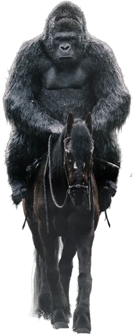 War For The Planet Of Apes Png U0026 Free Halter Ape Png