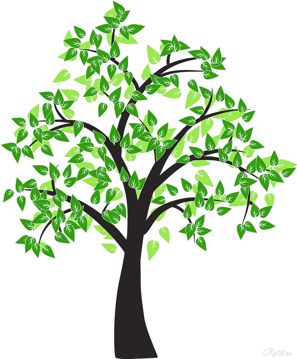 Tree Drawing Cottonwood Leaf Tree Vector Png Download Transparent Background Tree Vector Png Tree With Transparent Background png