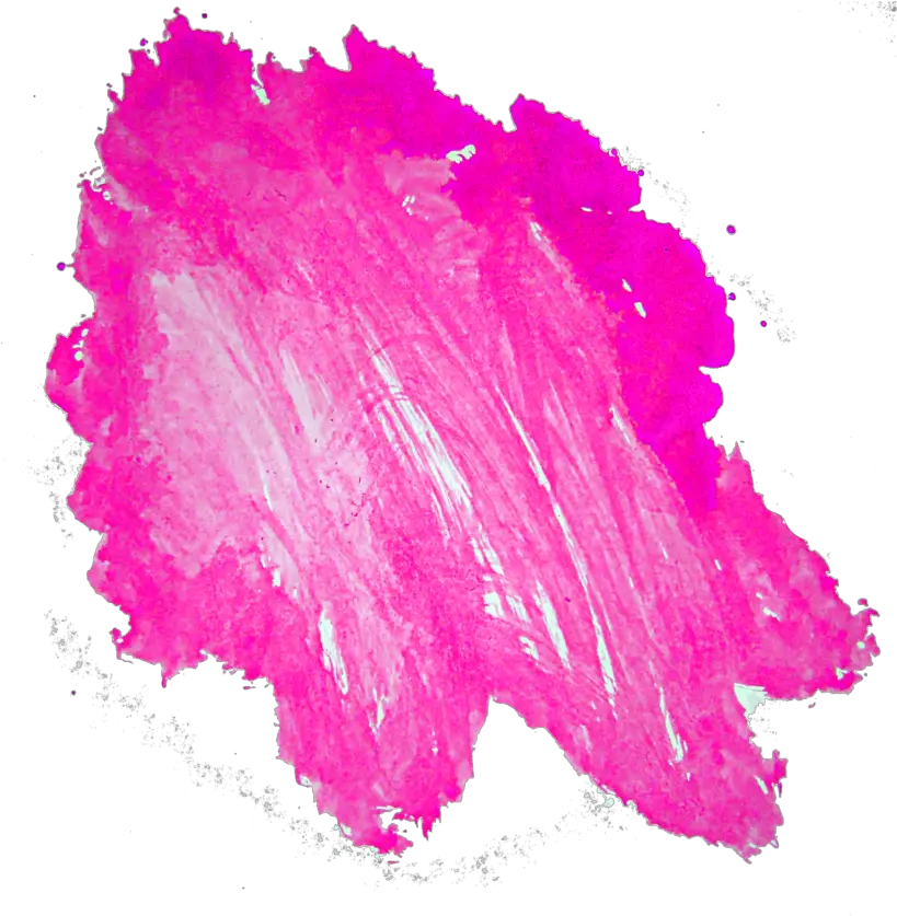 Stain Png Pink Oil Paint Swatch Stain Png