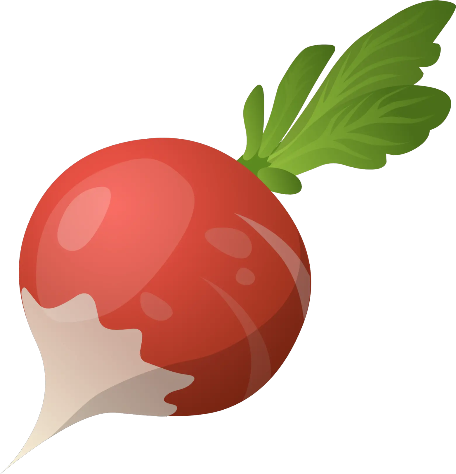 Pin Radish Clipart Png Beet Png