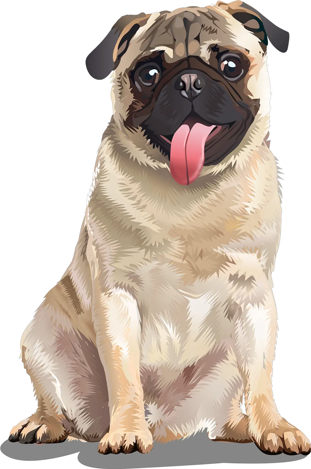 Pug T Shirt Vibrant Vector Cute Pug Sitting Png Pug Png