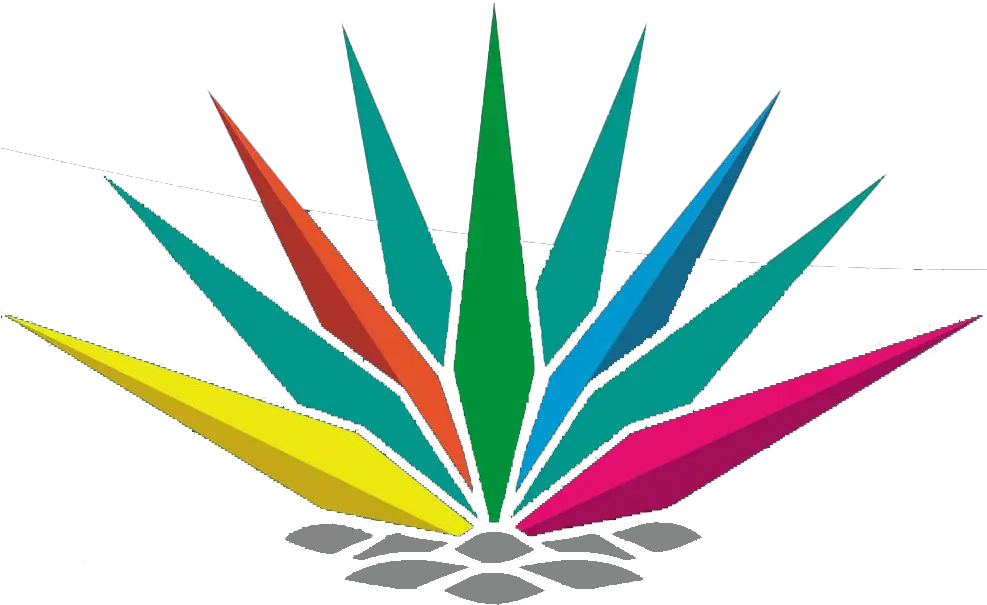 Download Hd El Agave Primer Eslabón De Logo Agave Png Agave Png