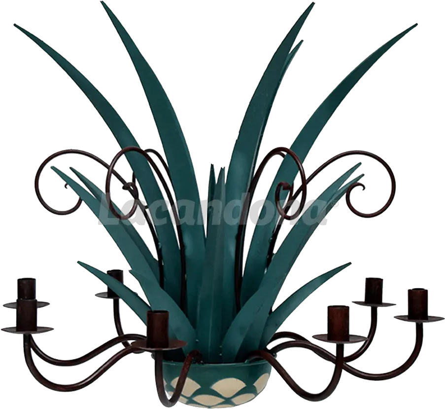 Download Agave Chandelier Agave Azul Png Agave Png