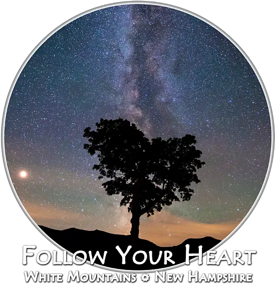 Follow Your Heart Transparent Background T Shirt Tree Png Transparent Background Heart
