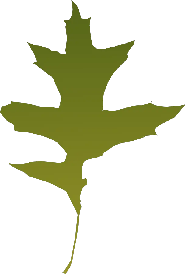 Leaf Png Svg Clip Art For Web Download Clip Art Png Icon Oak Tree Dry Leaf Icon Png Leaf Icon Png png