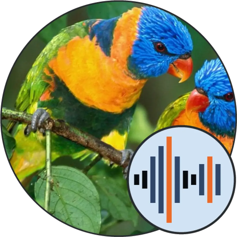 Sounds Of Birds Ringtones Soundboard Gachi Muchi Round Png Macaw Icon