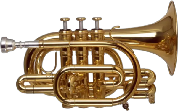 Trumpet Png Free Download 11 Pictures Saxophone Trumpet Png Trumpet Png