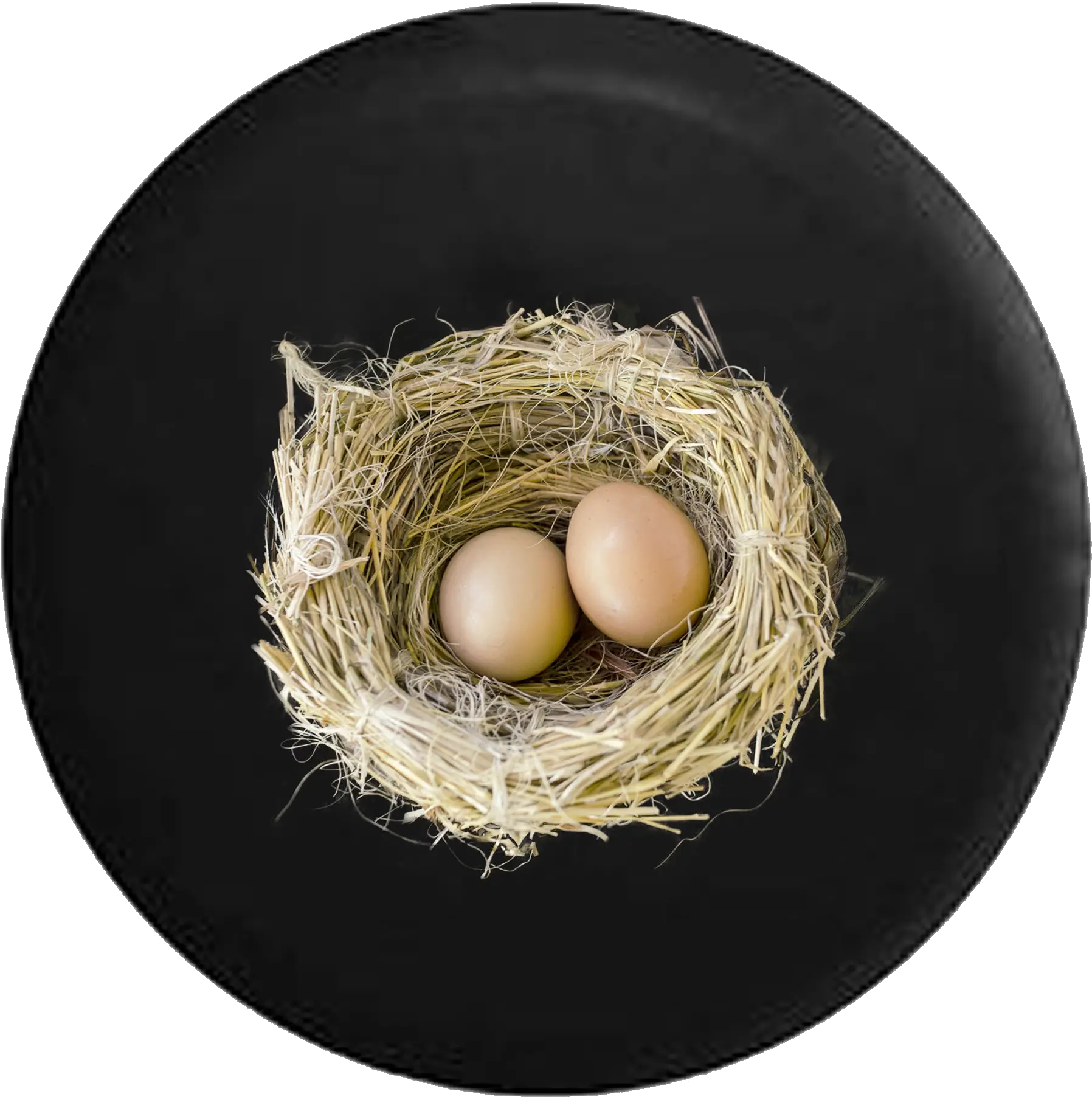 Birds Nest With Baby Bird Eggs Bird Nest Transparent Png Bird Nest Png png