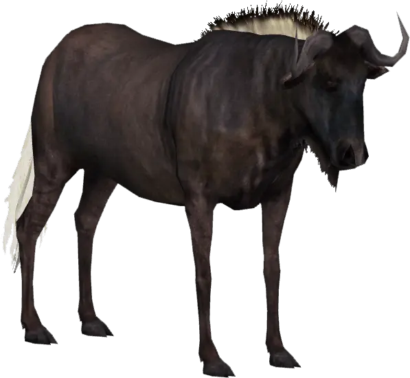 Water Buffalo Png Transparent Hd Photo Wildebeest Png Transparent Buffalo Png