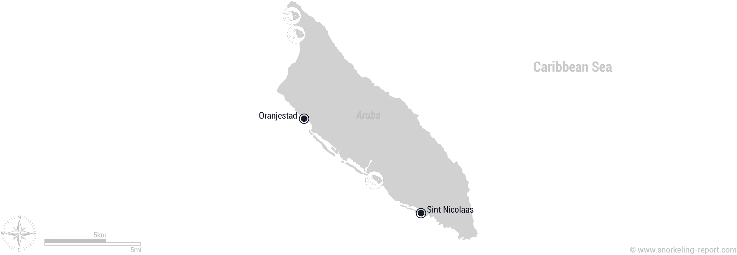 Download Free Png Snorkeling In Aruba The Best Ivory Spots Png