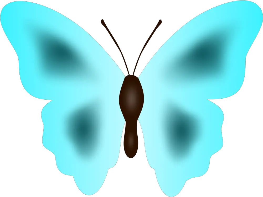 Butterflysymmetrymoth Png Clipart Royalty Free Svg Png Butterflies Moth Png