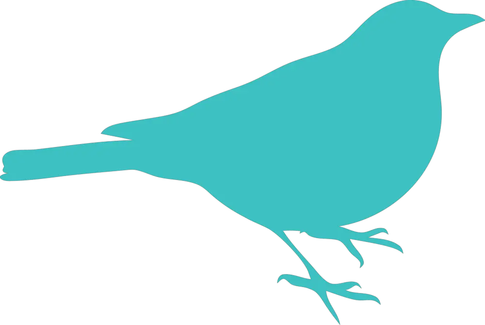 Free Bird Outline Cliparts Download Robin Bird Silhouette Png Bird Outline Png png