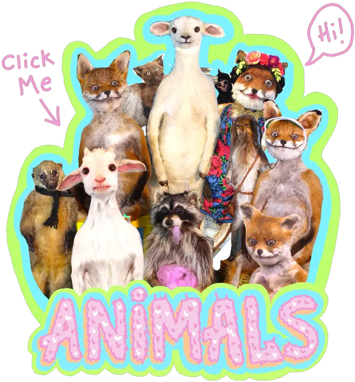 Adele Morse Home Kangaroo Png Adele Png