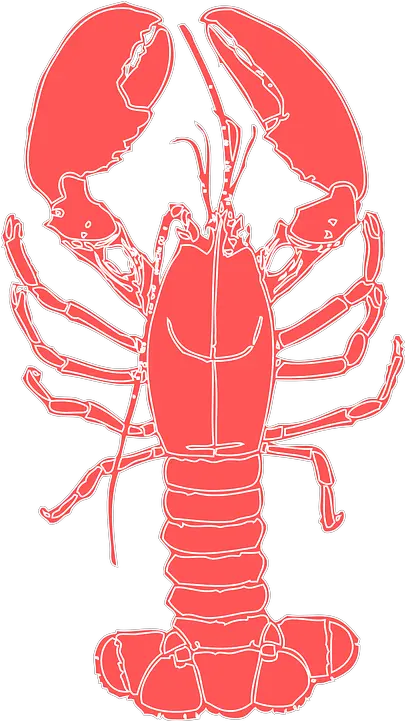 Lobster Crustacean Crab Transparent Crawfish Clipart Free Png Crawfish Png