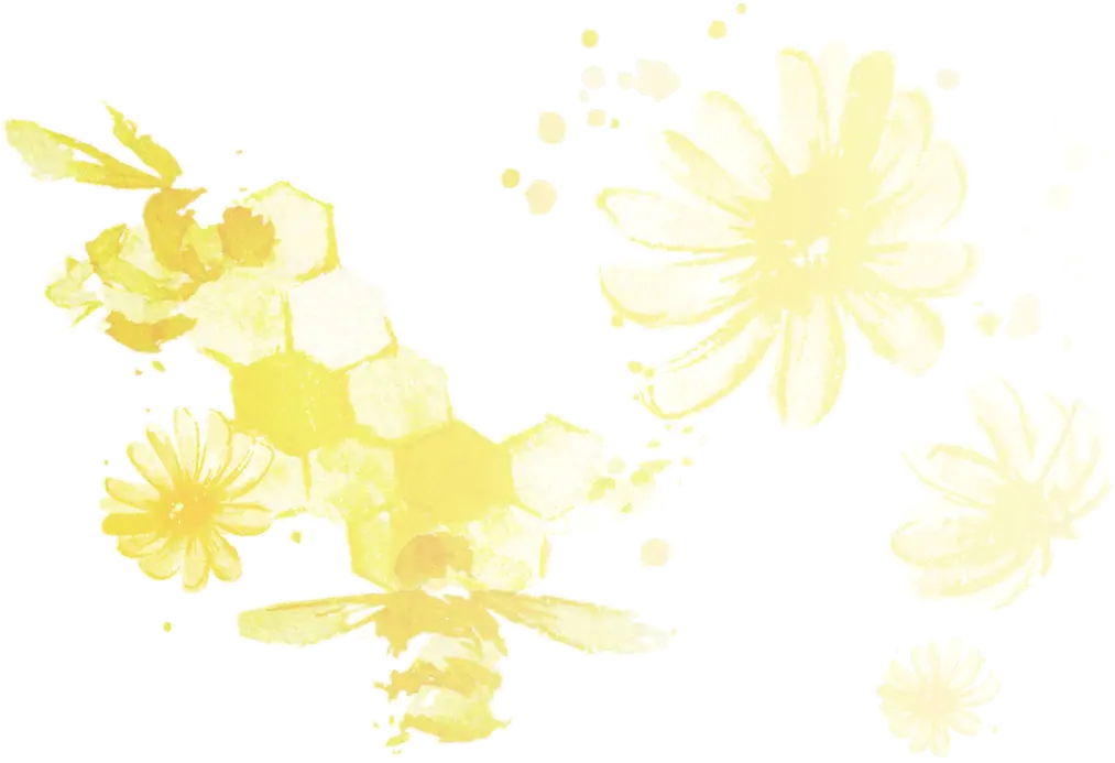 Organic Chamomile Flowers Chrysanths Png Chamomile Png