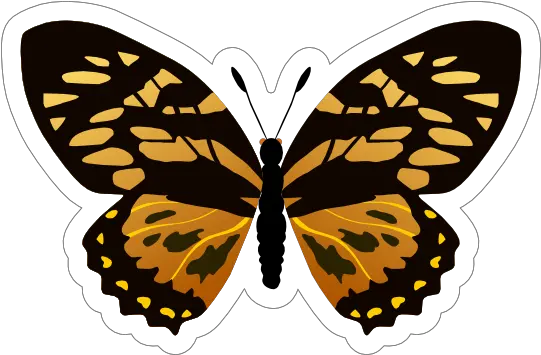 Gold And Black Butterfly Sticker Gold And Black Butterfly Png Gold Butterfly Png