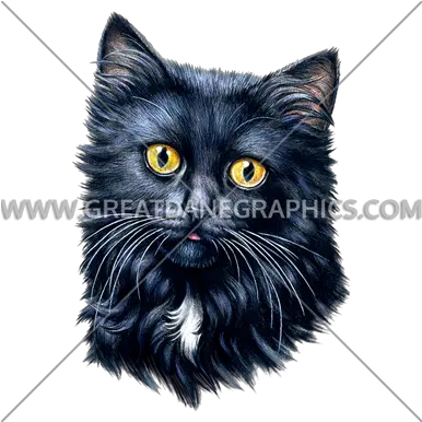 Black Cat Face Production Ready Artwork For T Shirt Printing Black Cat Png Black Cat Transparent