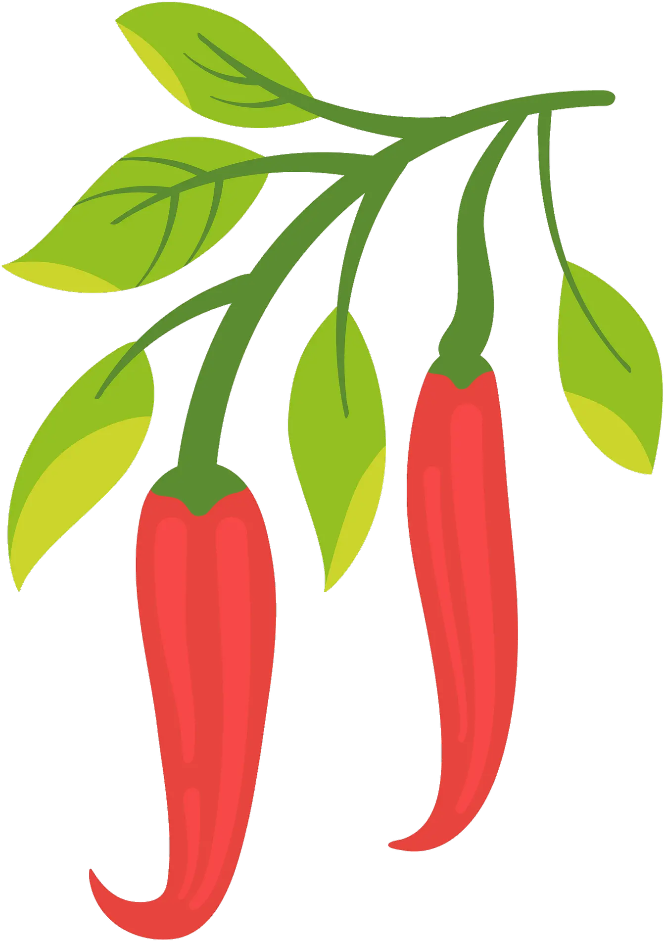 Chili Pepper Clipart Free Download Transparent Png Creazilla Dibujo Planta De Aji Chili Png