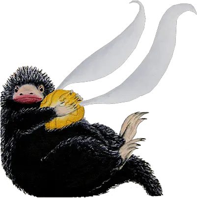 T Shirt Niffler With Golden Snitch For Him U2013 Teelent Png Golden Snitch Png