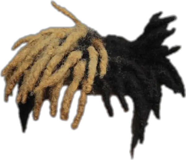 Xxxtentacion Hair Png Image Xxxtentacion Hair Png Xxxtentacion Png