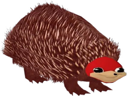 Ugandan Knuckles Doyouknowdawhey Twitter Soft Png Uganda Knuckles Png