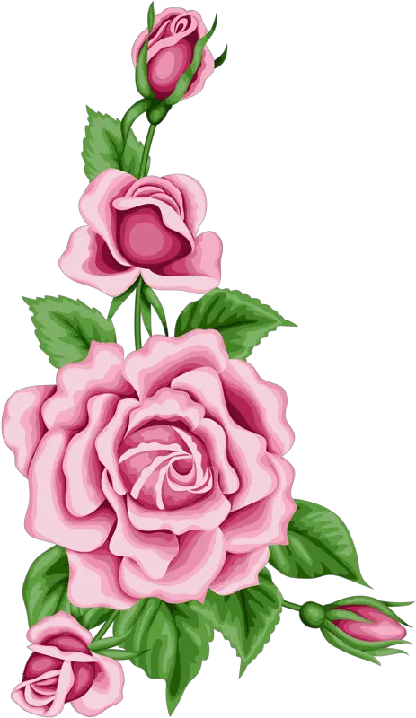 Flower Card With Colorful Roses Png Pinterest Pink Flower Side Border Design On Paper Roses Border Png